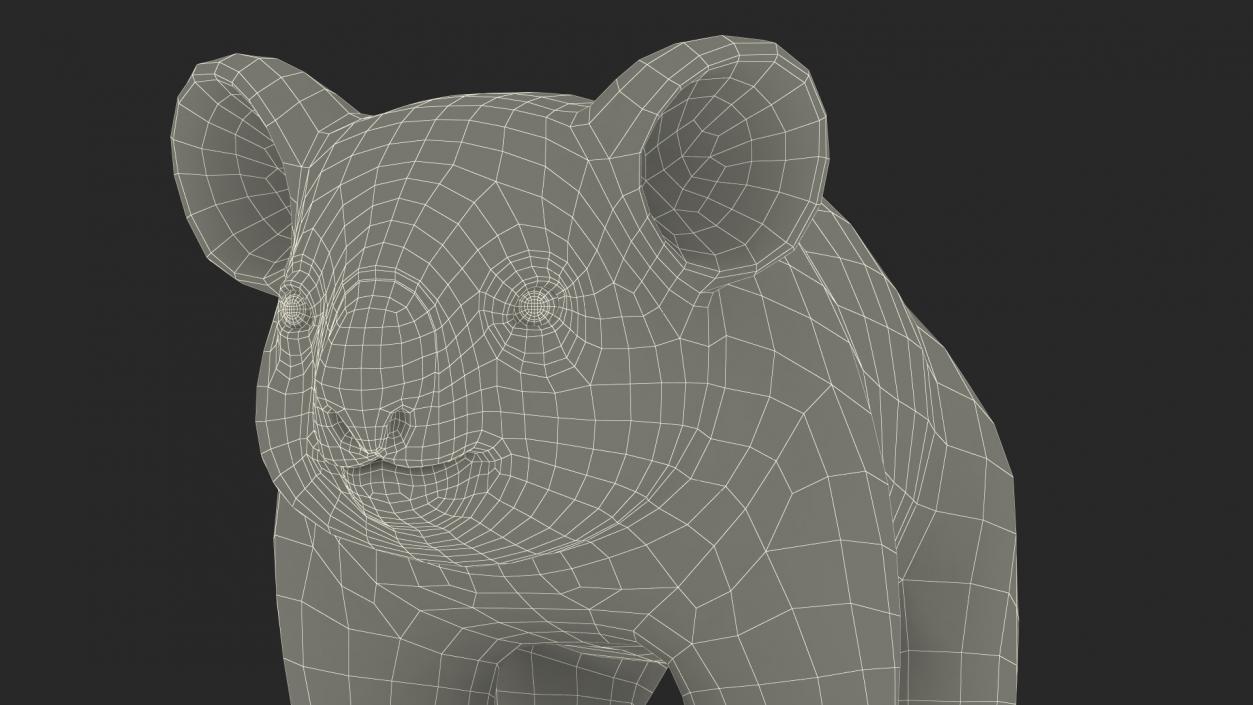 3D Australian Koala Rigged model