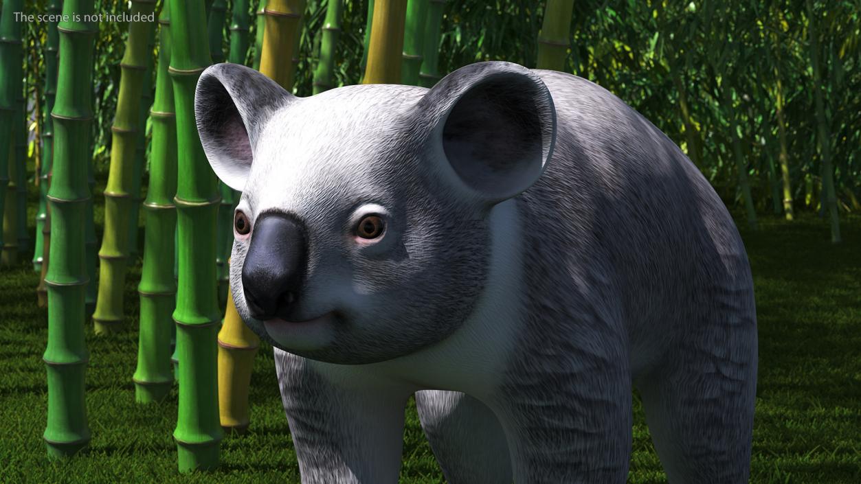 3D Australian Koala Rigged model