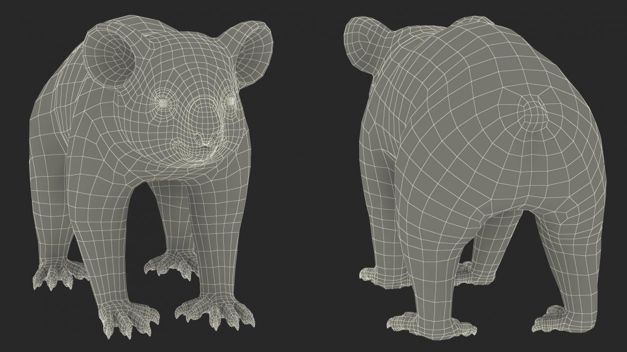 3D Australian Koala Rigged model