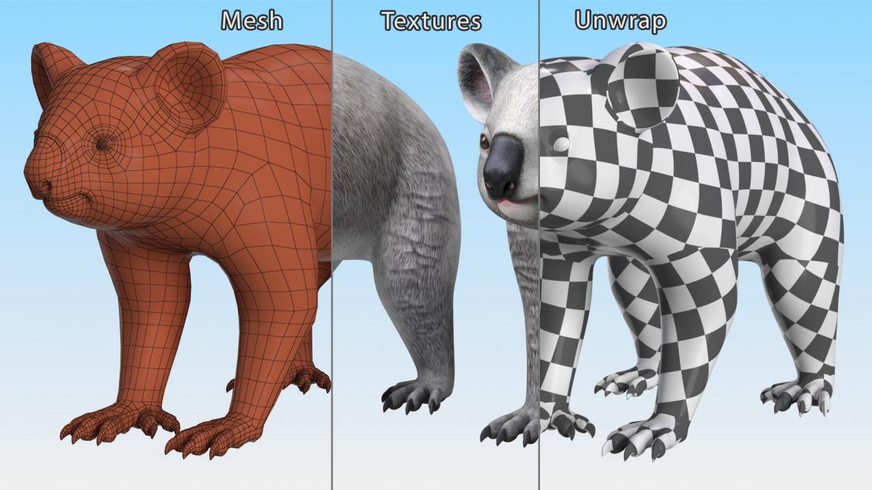 3D Australian Koala Rigged model