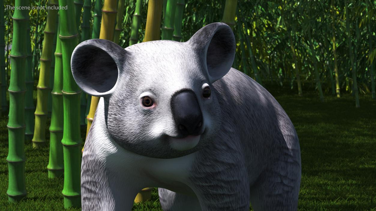 3D Australian Koala Rigged model