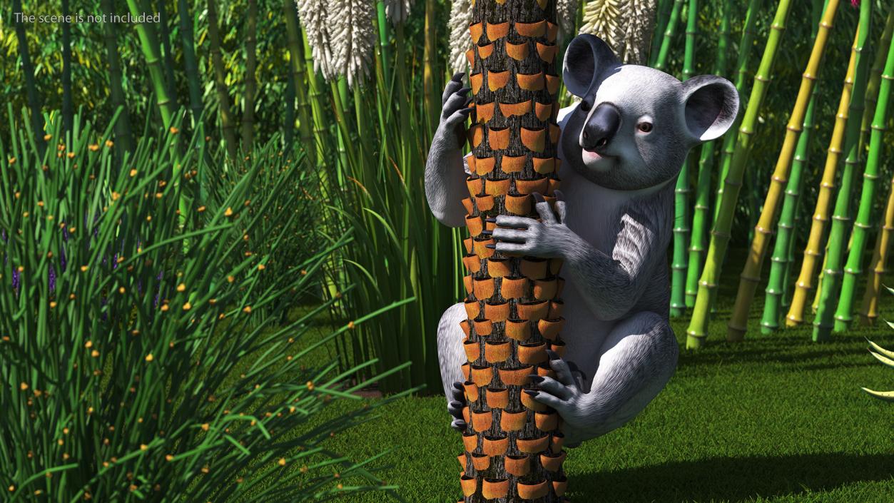 3D Australian Koala Rigged model