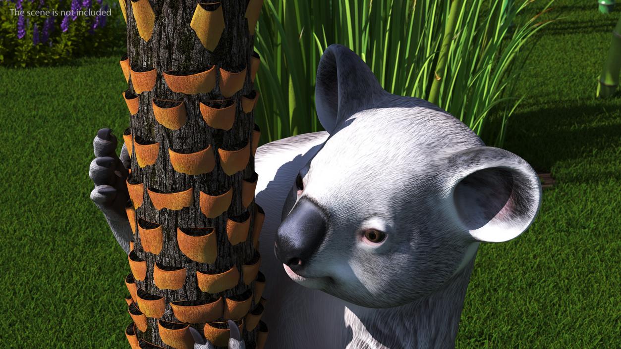 3D Australian Koala Rigged model