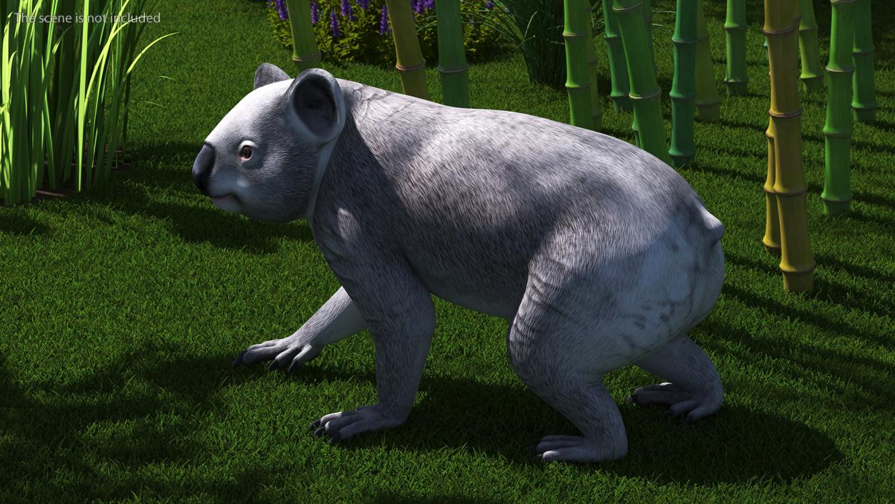 3D Australian Koala Rigged model