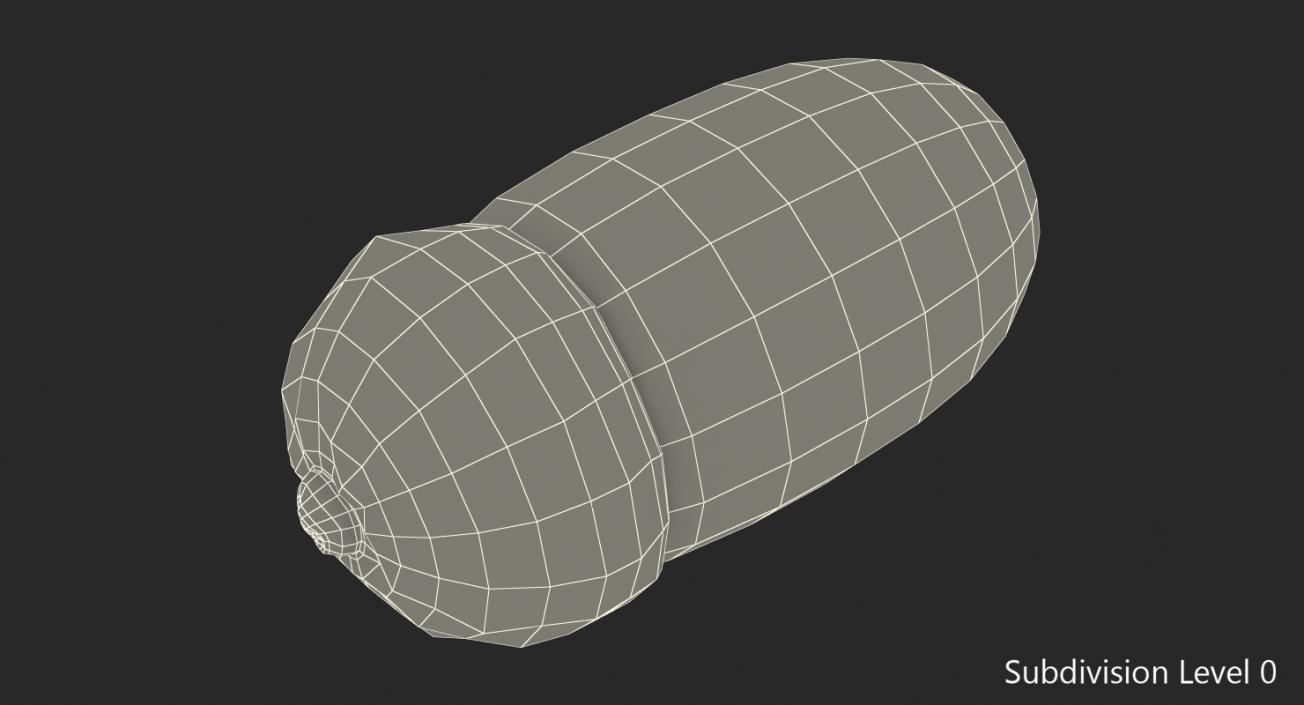 Single Acorn 3D