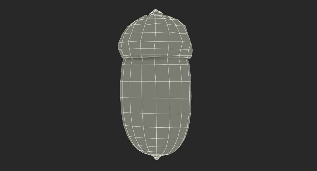 Single Acorn 3D