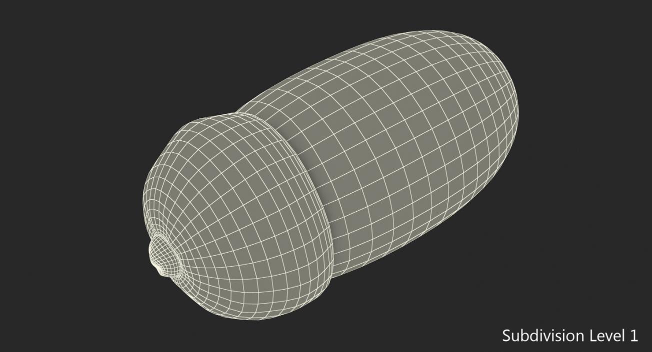 Single Acorn 3D