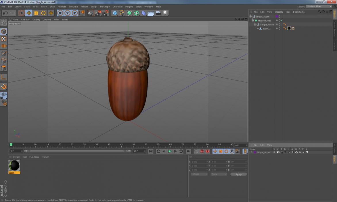 Single Acorn 3D