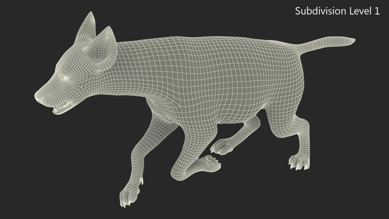 Hyena Running Pose Fur 3D