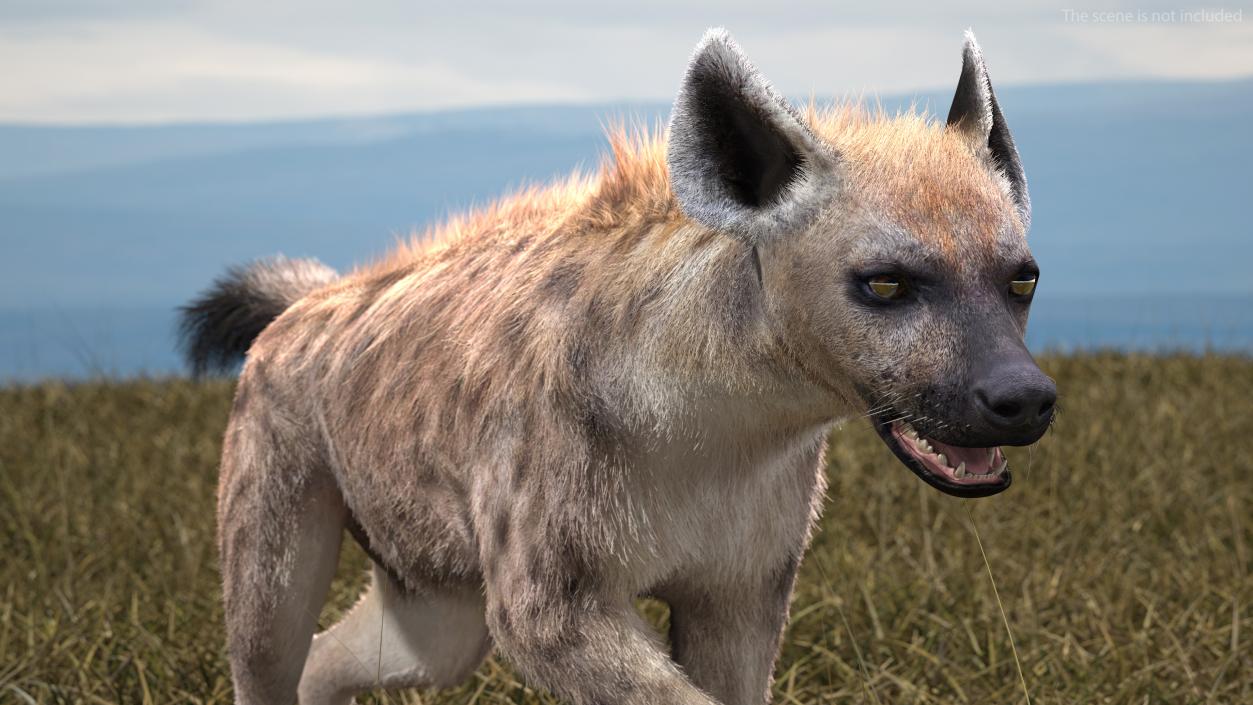 Hyena Running Pose Fur 3D