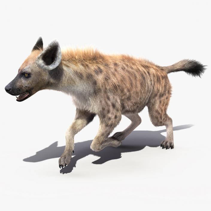 Hyena Running Pose Fur 3D