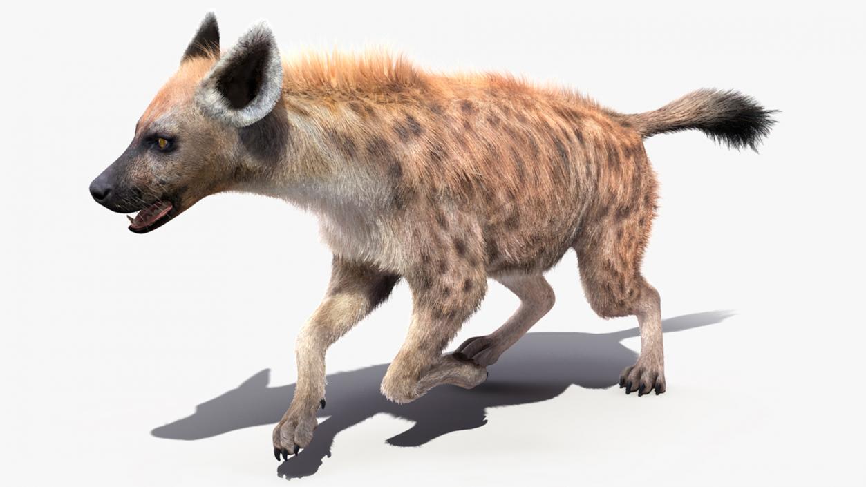 Hyena Running Pose Fur 3D