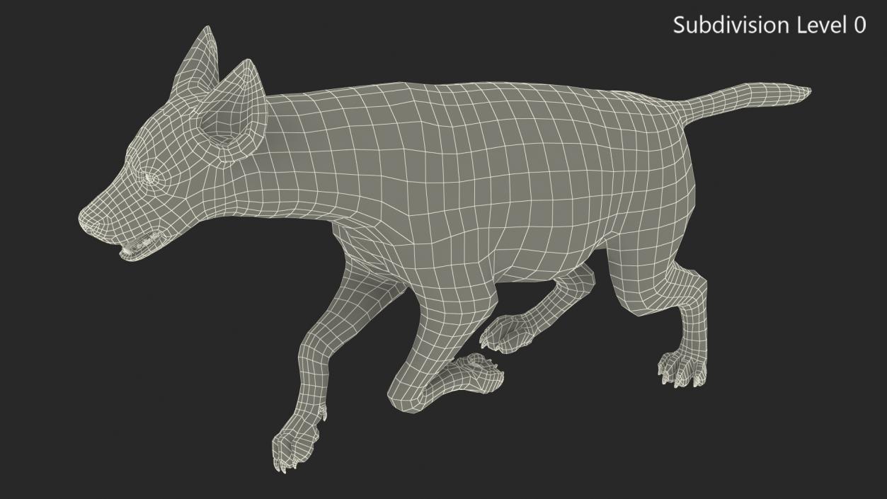 Hyena Running Pose Fur 3D