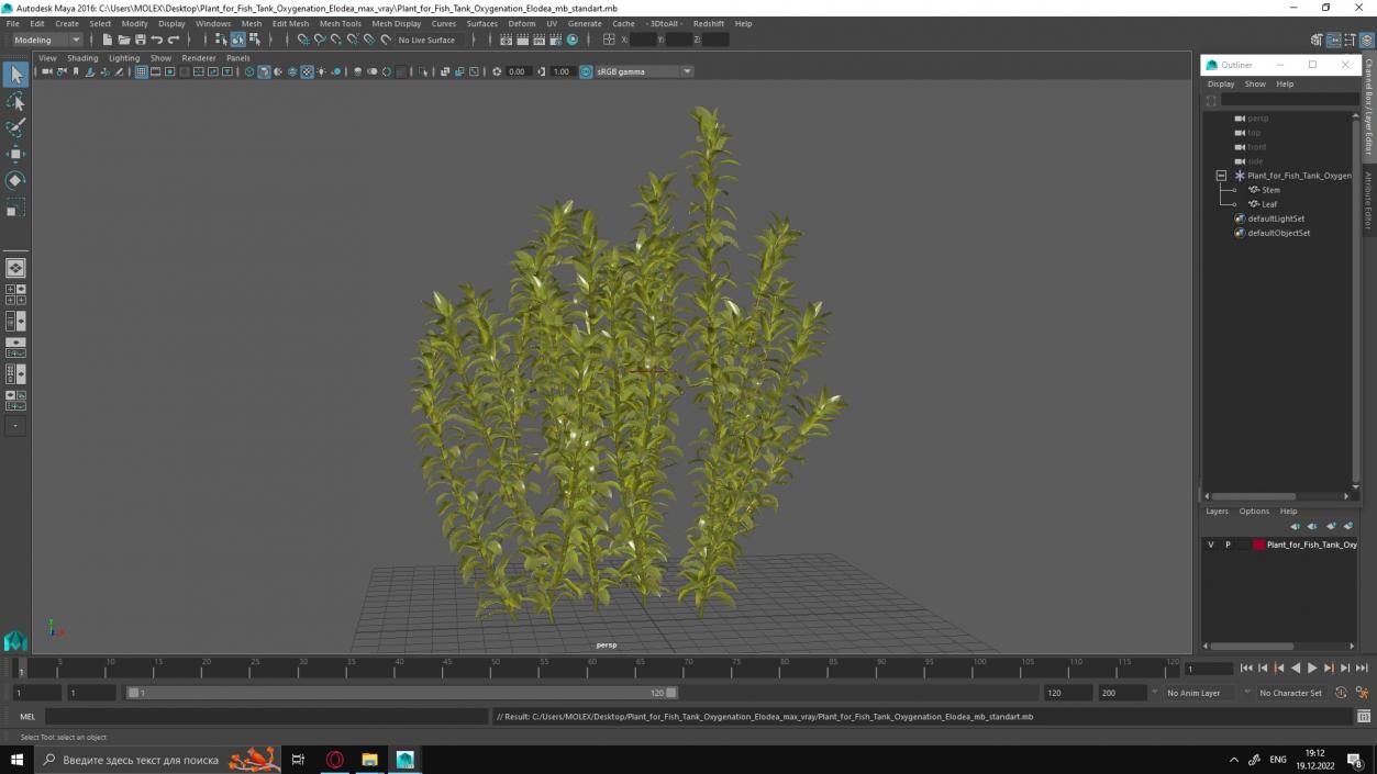 3D Plant for Fish Tank Oxygenation Elodea model