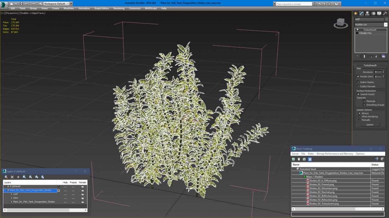 3D Plant for Fish Tank Oxygenation Elodea model