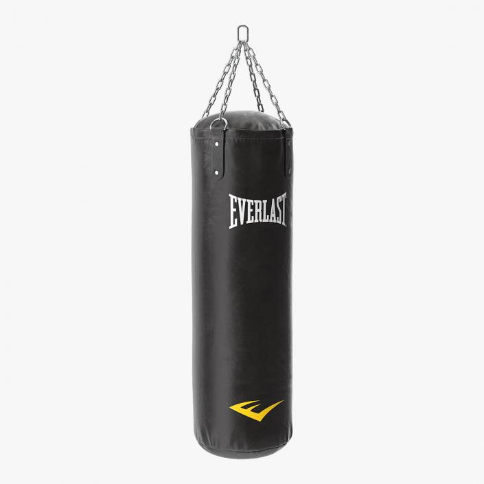 3D Everlast Punching Bag