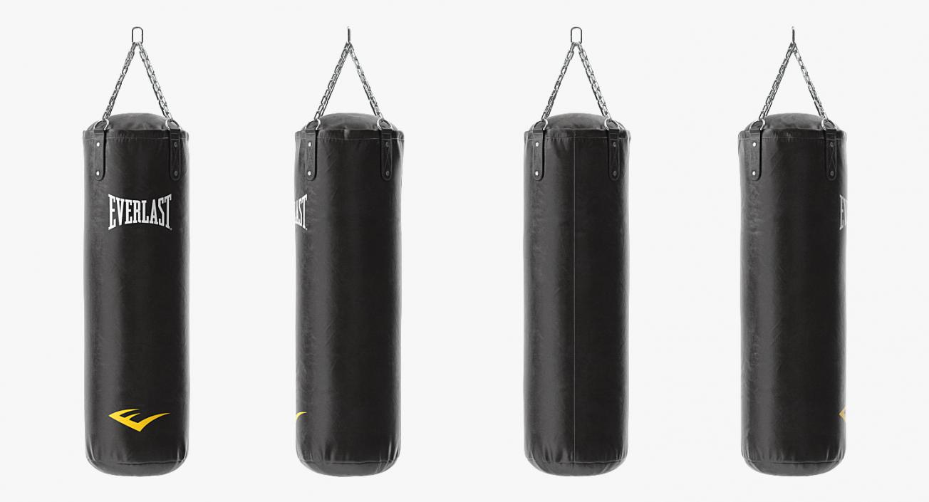 3D Everlast Punching Bag