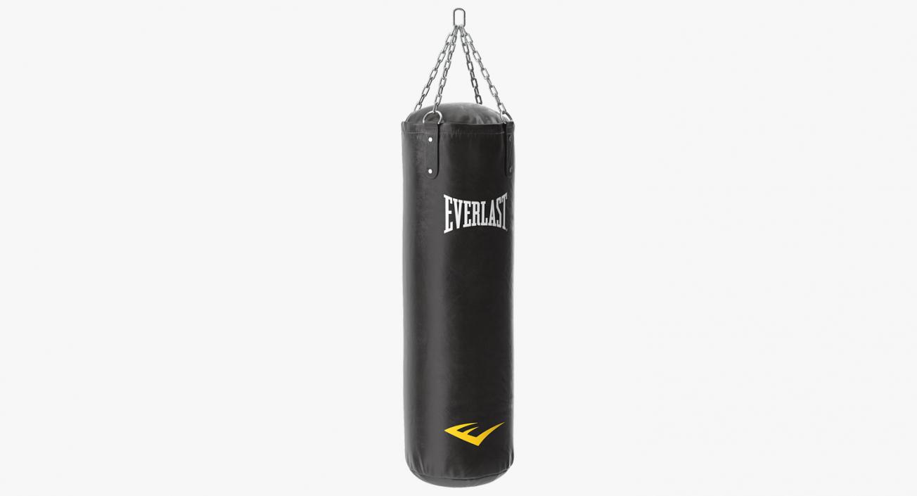 3D Everlast Punching Bag