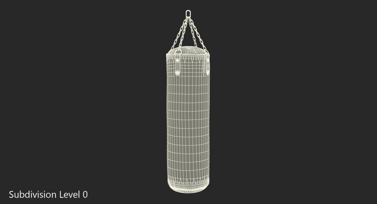 3D Everlast Punching Bag