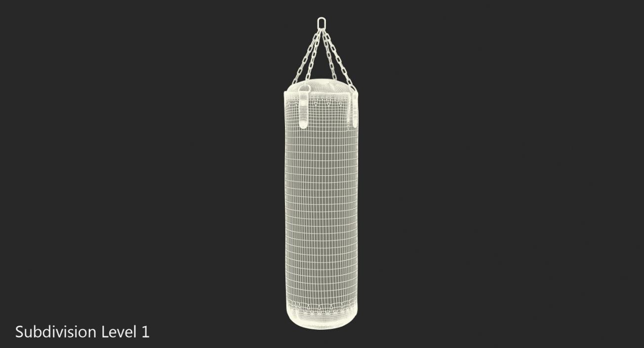 3D Everlast Punching Bag