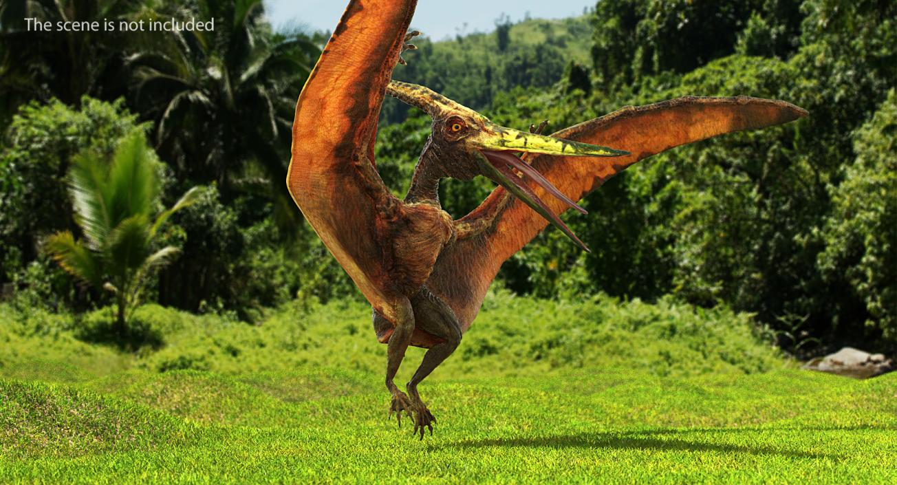 3D model Pteranodon Flying Carnivorous Reptile Landing Pose