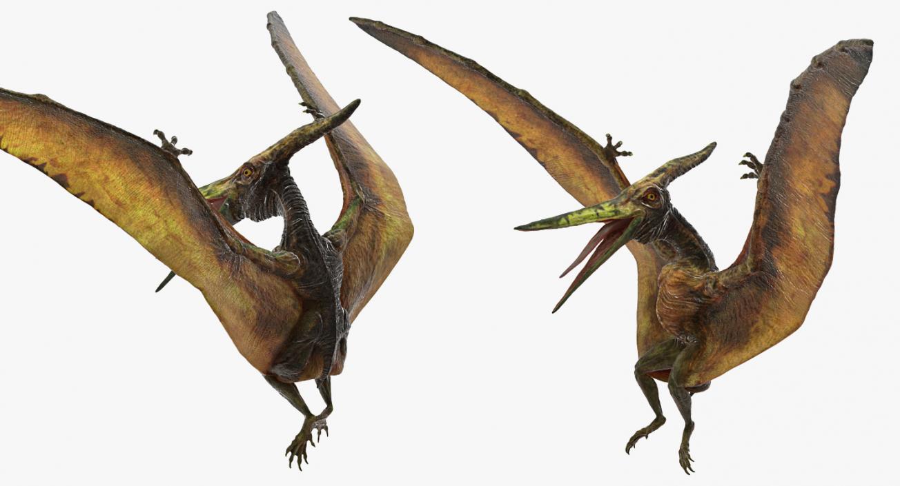 3D model Pteranodon Flying Carnivorous Reptile Landing Pose