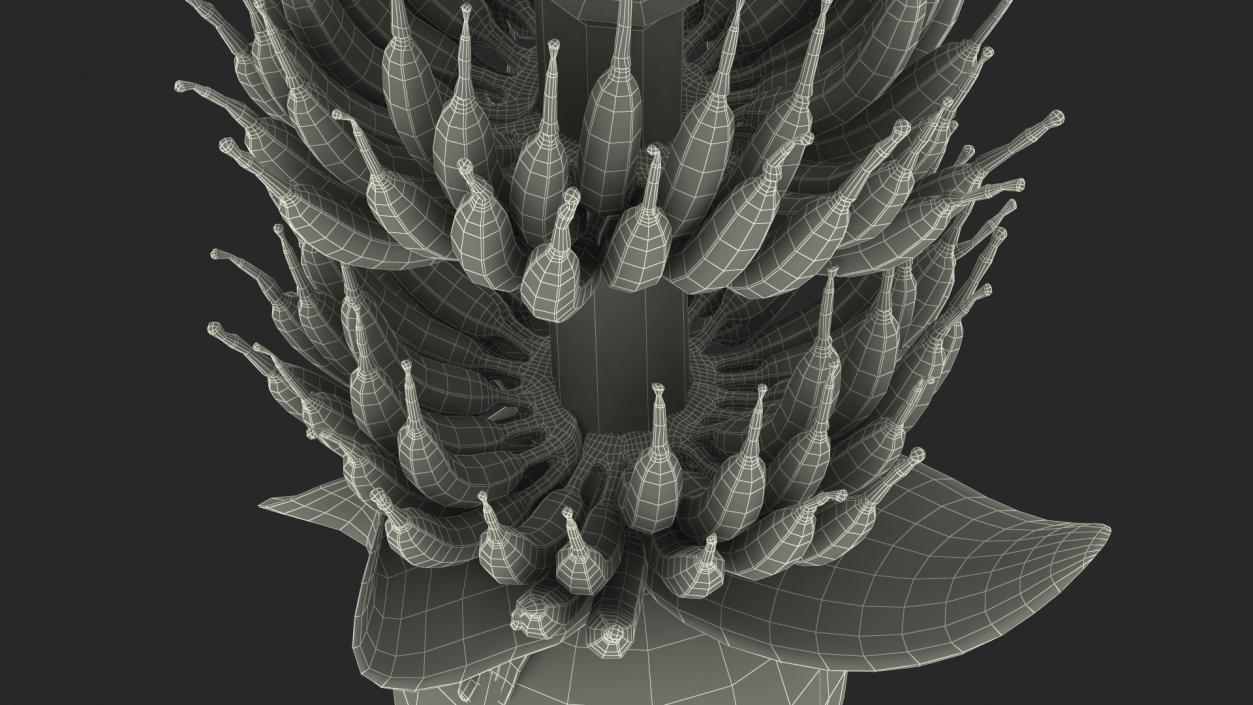 3D Blooming Banana Cluster model