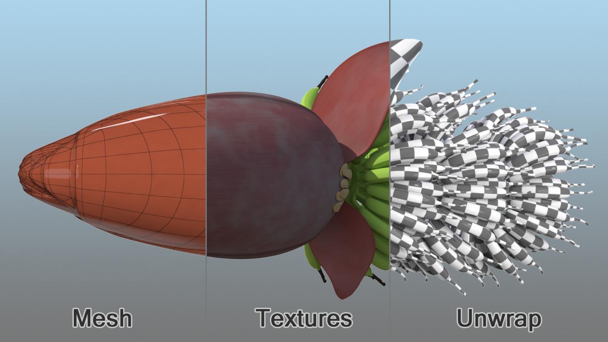 3D Blooming Banana Cluster model