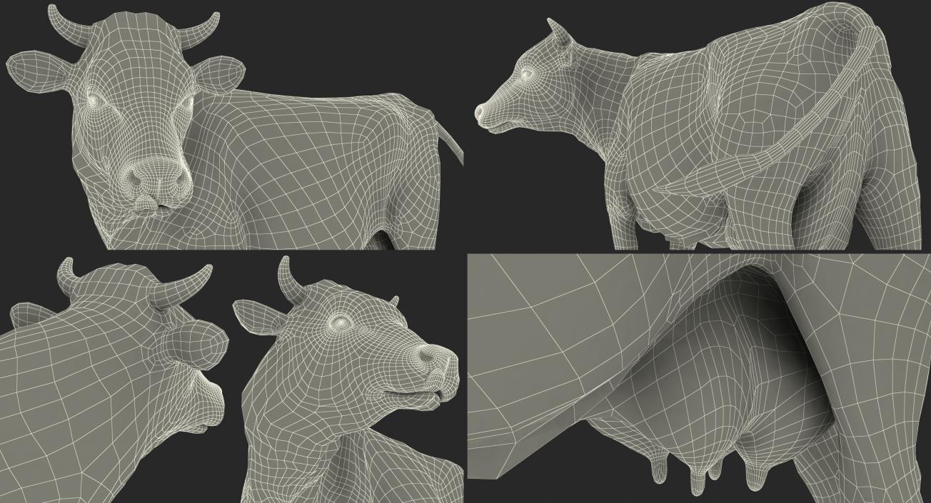 3D Holstein Cow with Fur