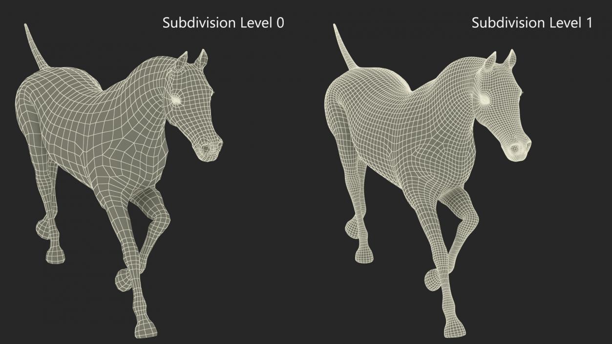 3D model Galloping Arabian Horse Gray Dappled Fur