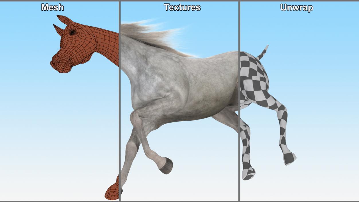 3D model Galloping Arabian Horse Gray Dappled Fur