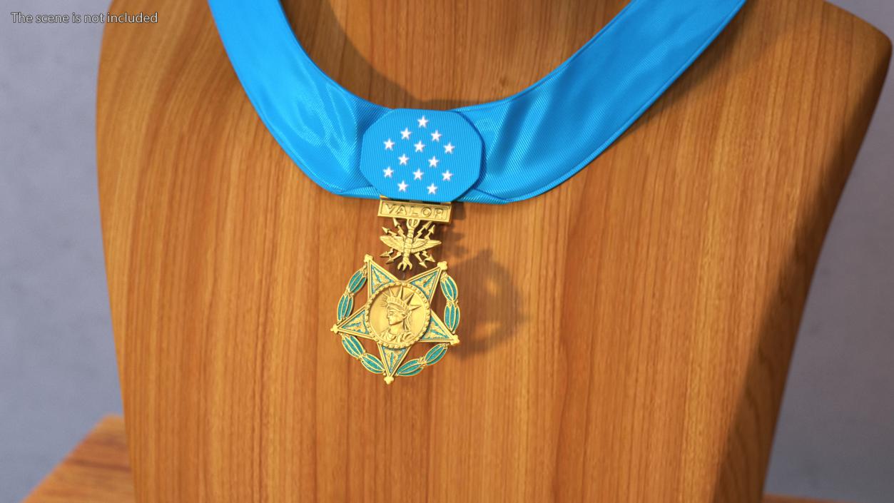 US Air Force Medal of Honor Worn 3D