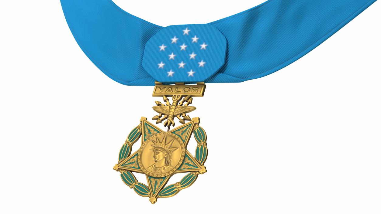 US Air Force Medal of Honor Worn 3D