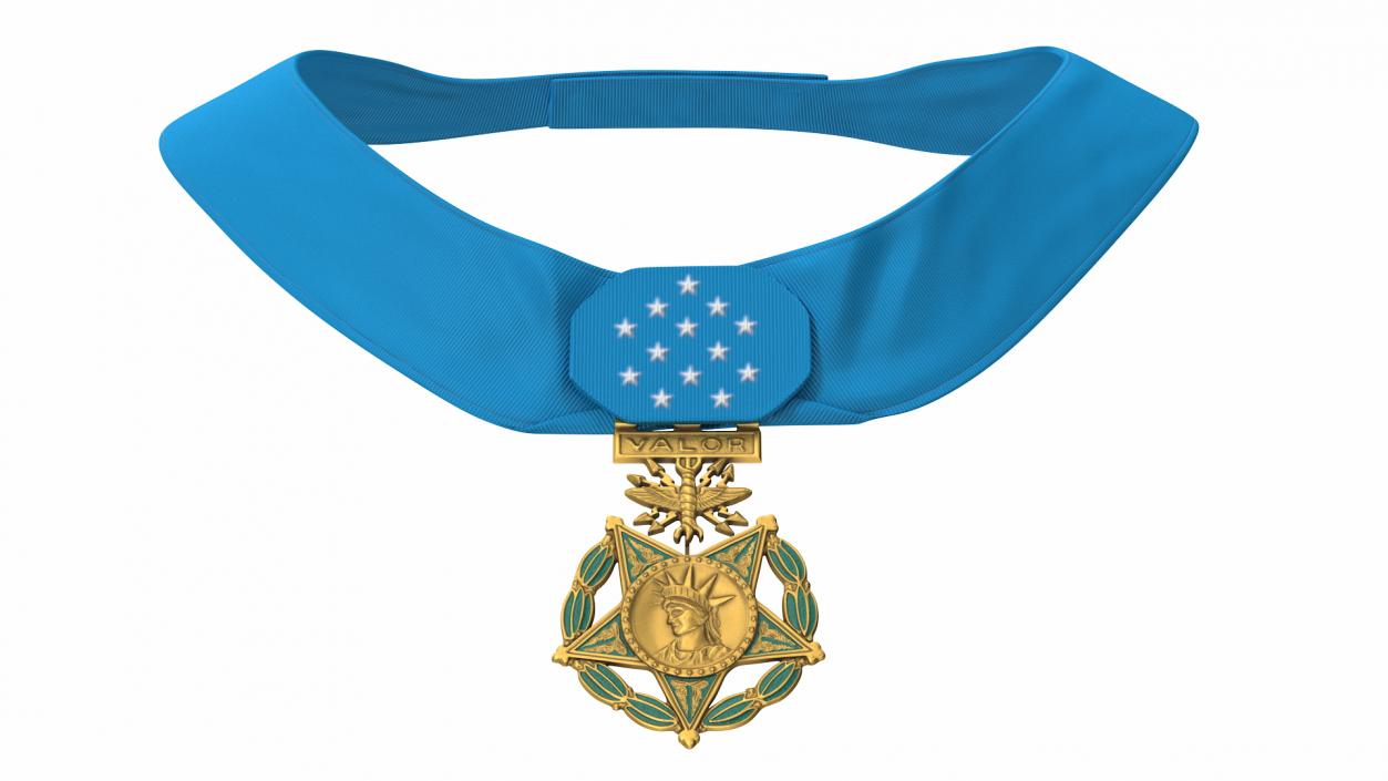 US Air Force Medal of Honor Worn 3D