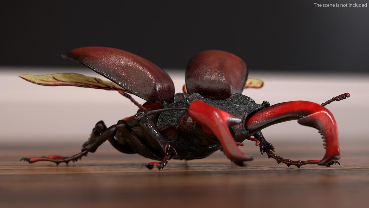 Rigged Flying Insects Collection 2 3D model