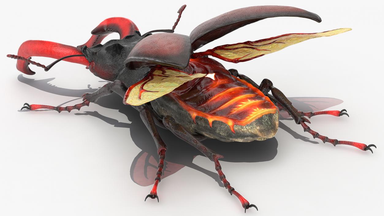 Rigged Flying Insects Collection 2 3D model