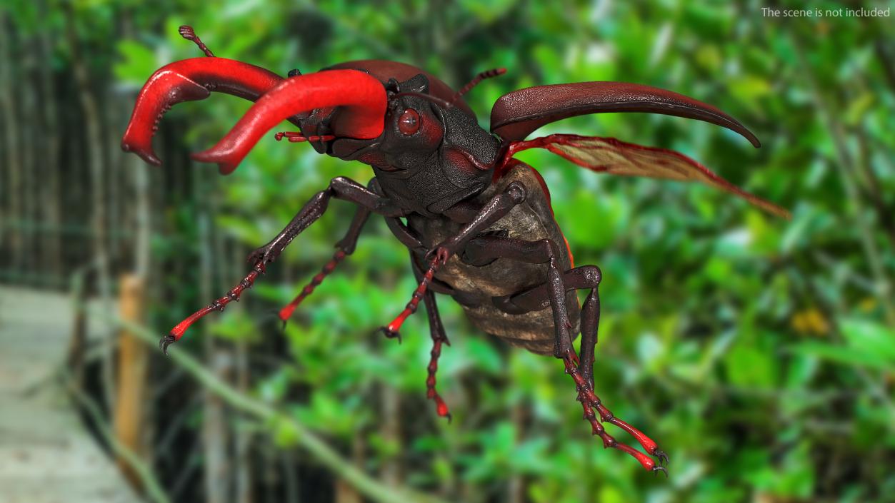 Rigged Flying Insects Collection 2 3D model