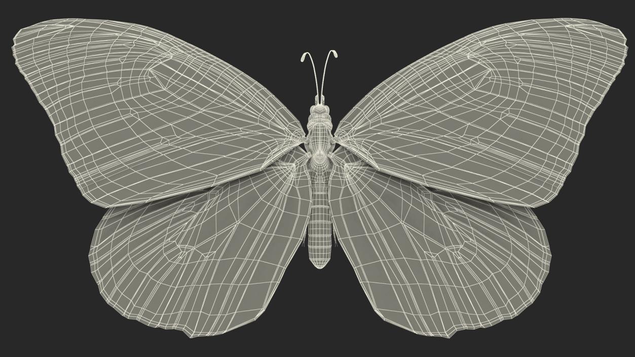 Rigged Flying Insects Collection 2 3D model