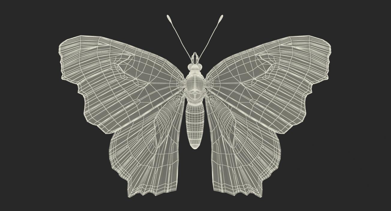 Rigged Flying Insects Collection 2 3D model