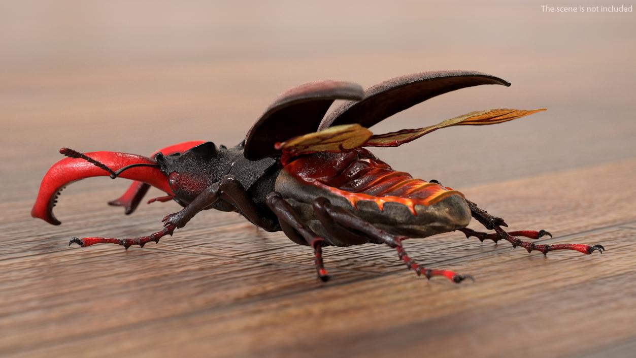 Rigged Flying Insects Collection 2 3D model