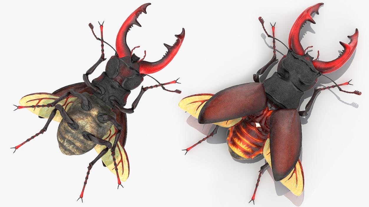 Rigged Flying Insects Collection 2 3D model