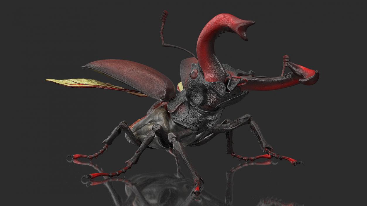 Rigged Flying Insects Collection 2 3D model