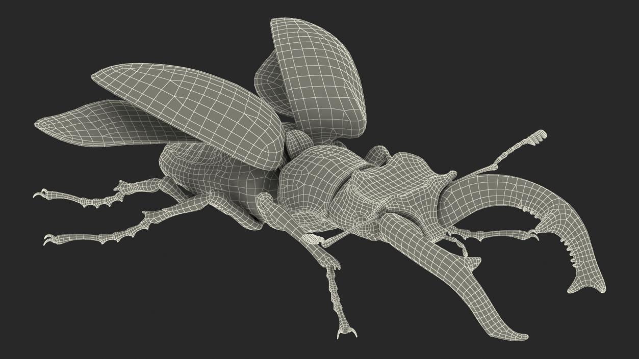 Rigged Flying Insects Collection 2 3D model