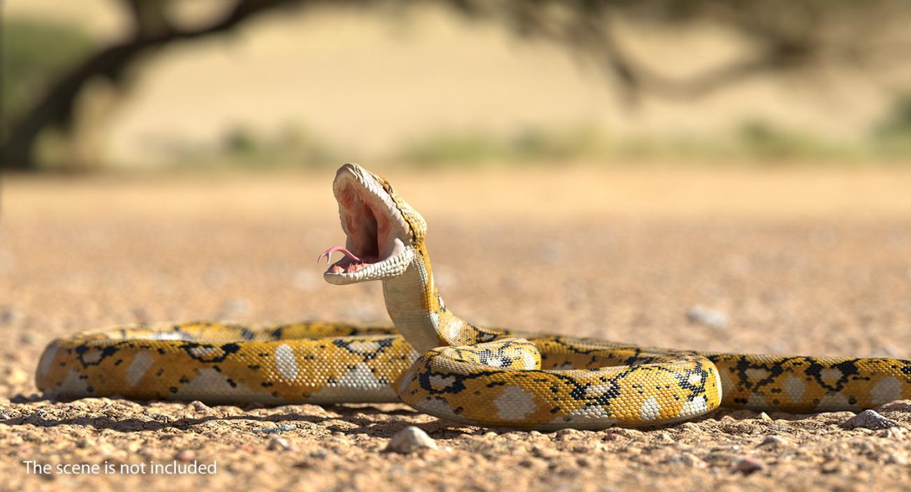 3D Yellow Python Snake Attack Pose