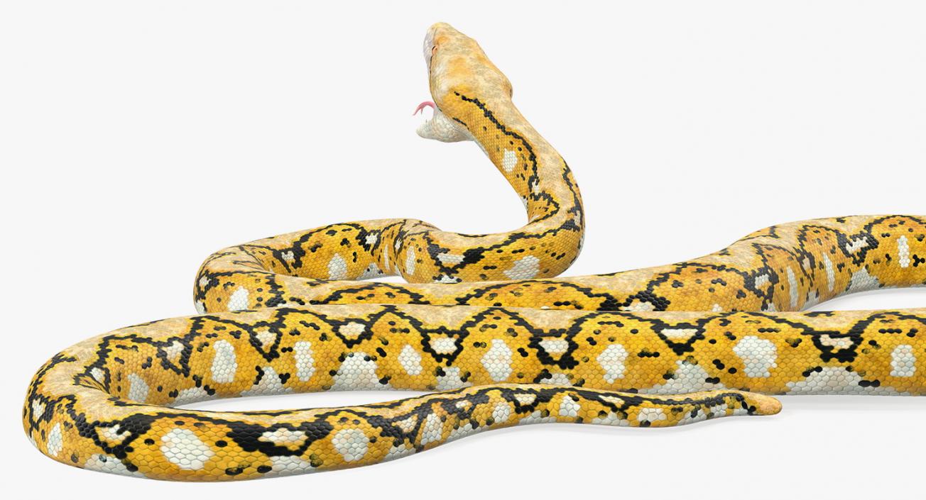 3D Yellow Python Snake Attack Pose