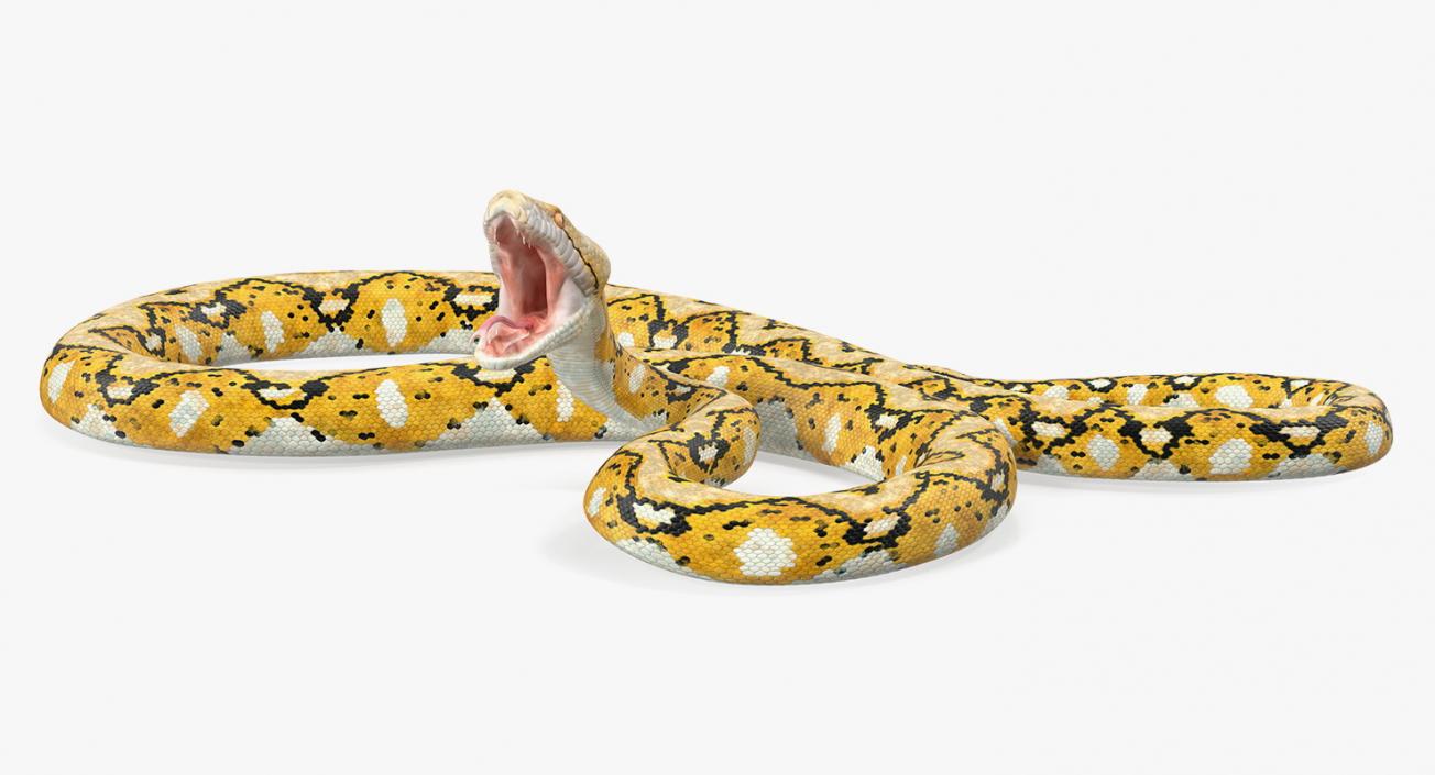 3D Yellow Python Snake Attack Pose