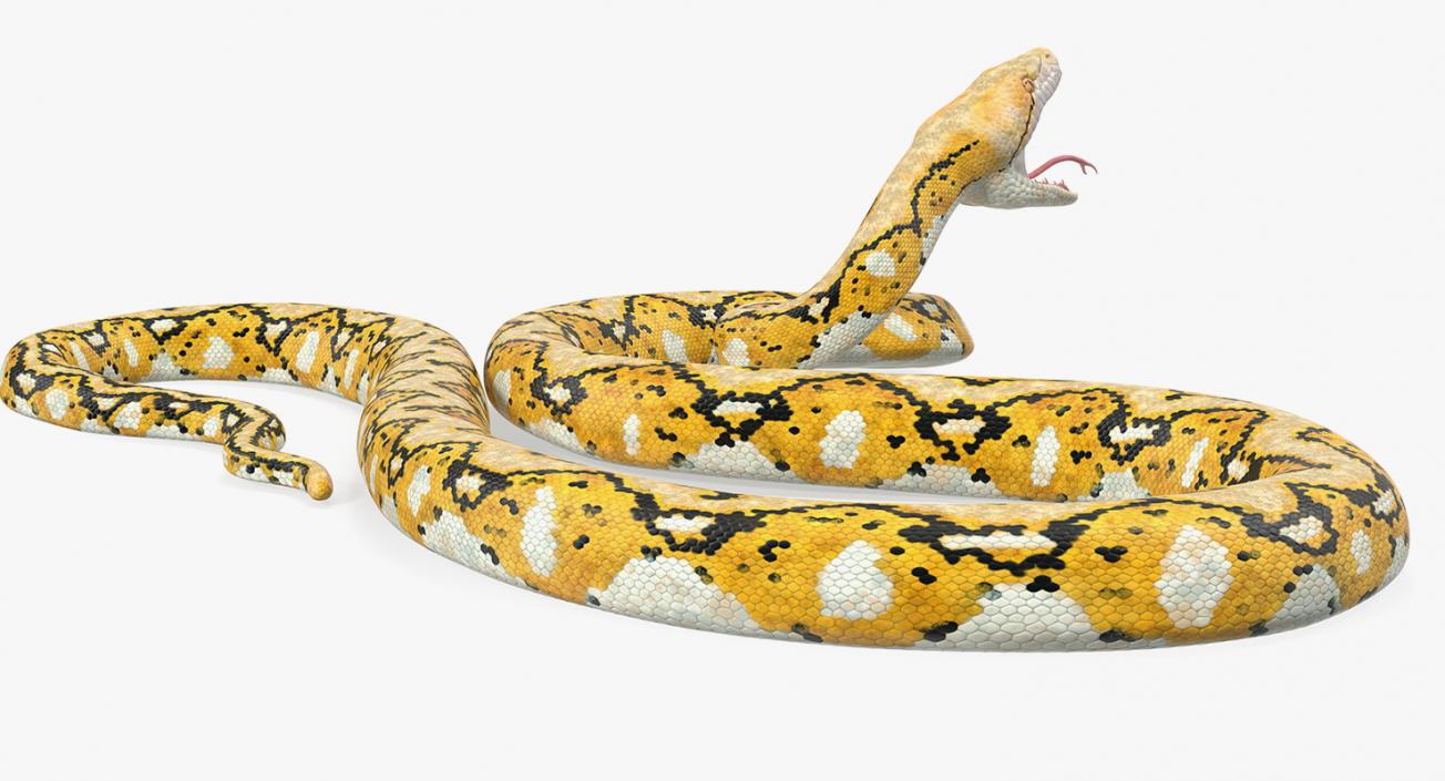 3D Yellow Python Snake Attack Pose