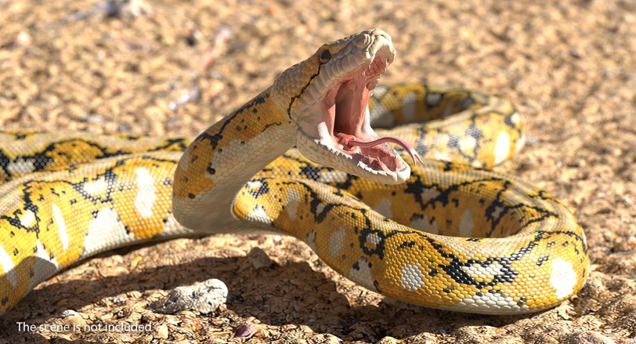 3D Yellow Python Snake Attack Pose