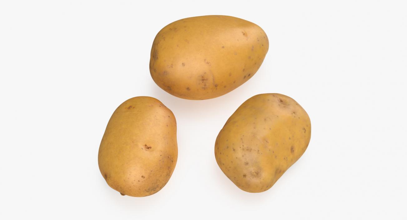 3D Raw Potatoes Set