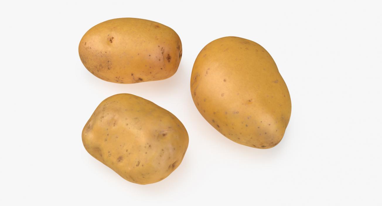 3D Raw Potatoes Set